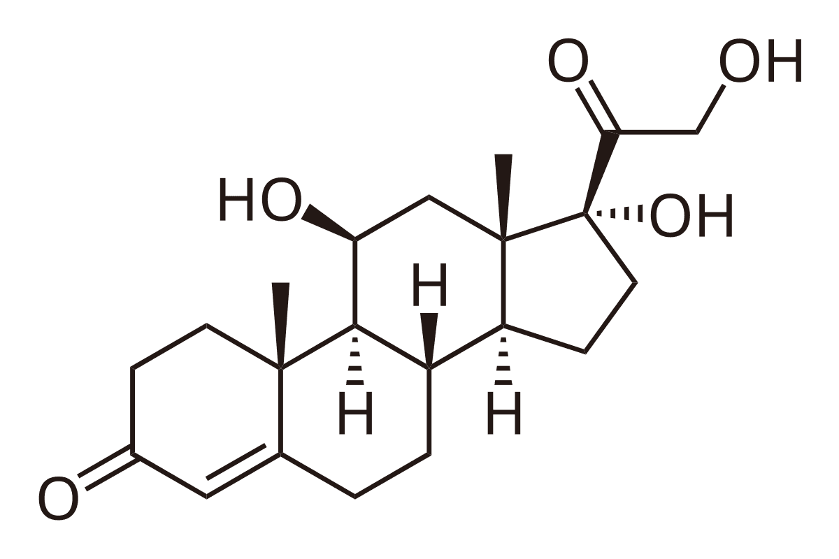 Glucocorticoid - Wikipedia