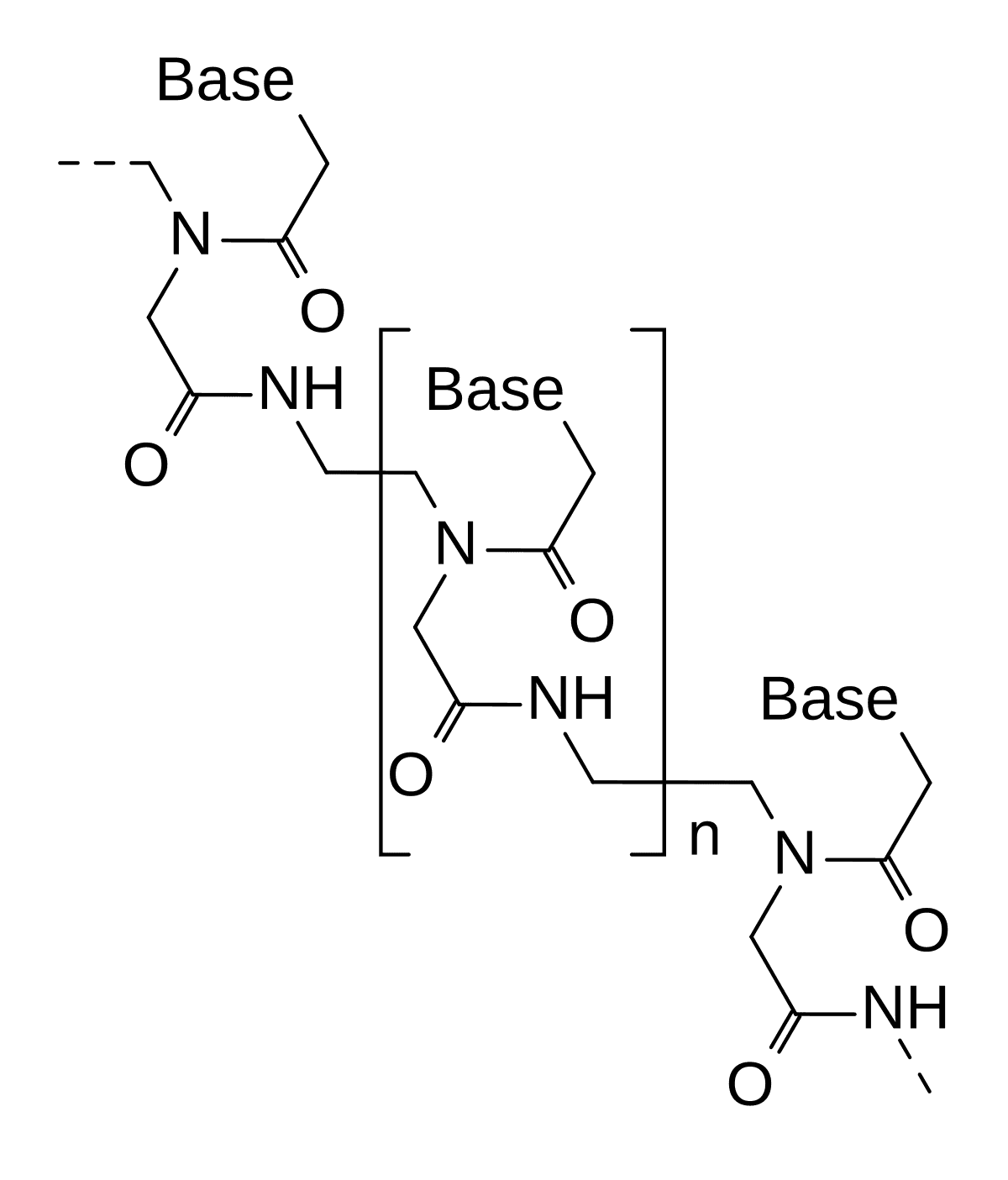 Peptide nucleic acid - Wikipedia