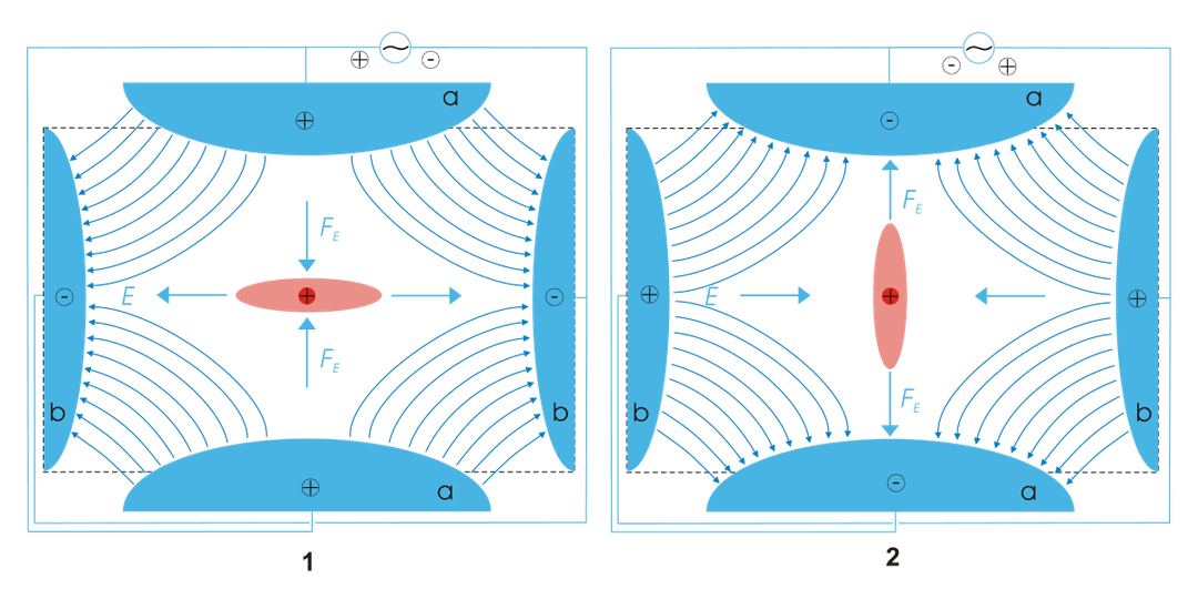 Quadrupole ion trap - Wikipedia