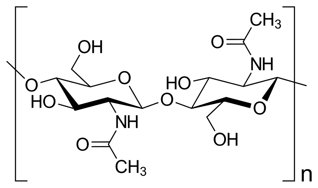 Chitin - Wikipedia