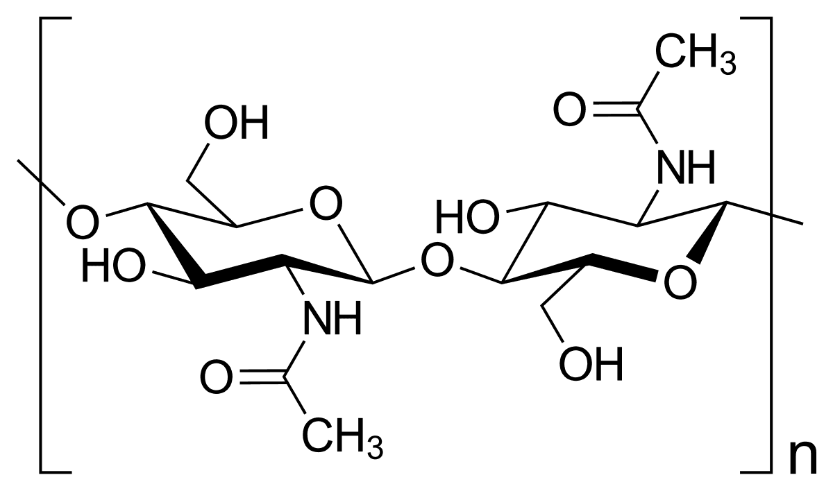 Chitin - Wikipedia