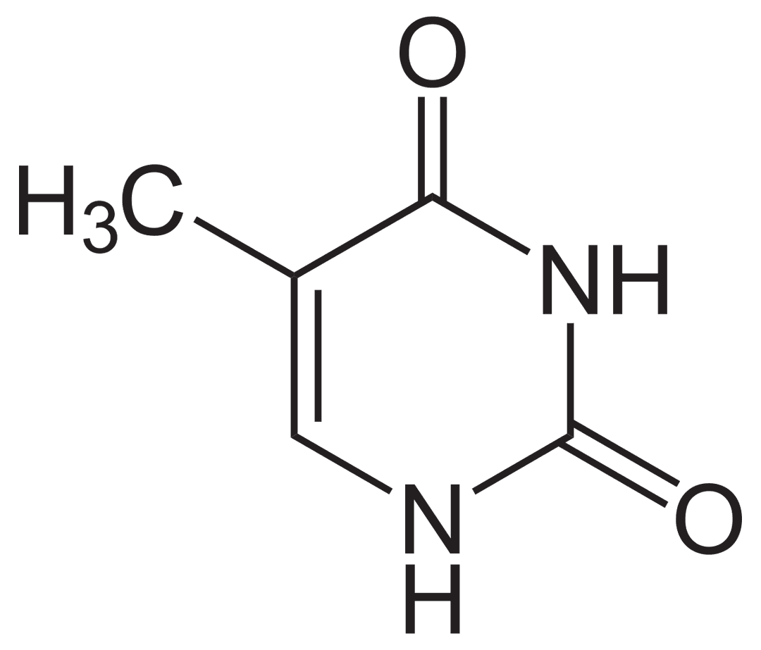 Thymine - Wikipedia