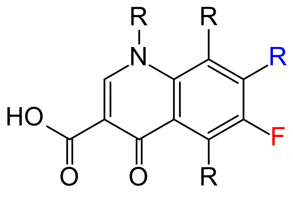 Quinolone — Wikipédia