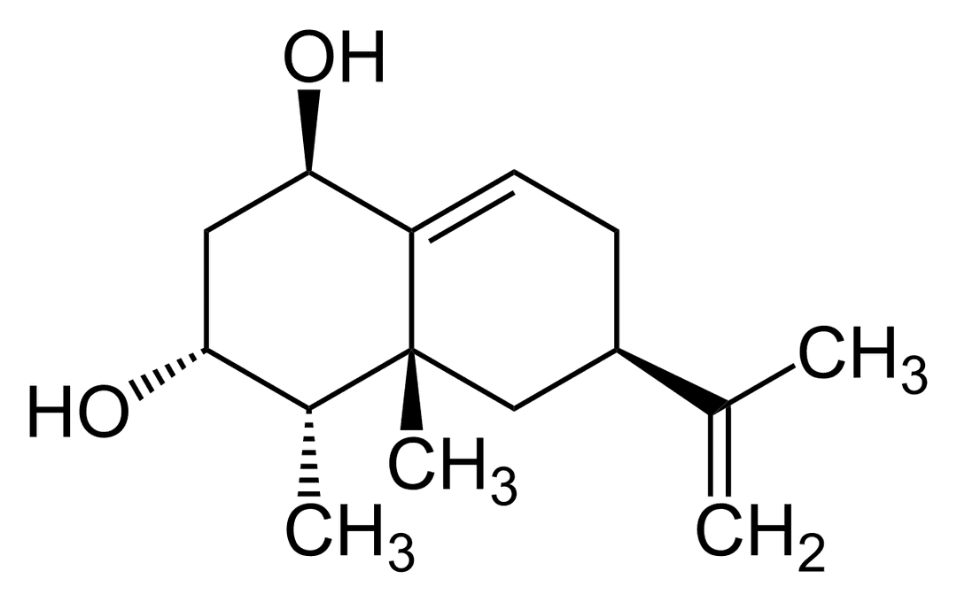 Phytoalexin - Wikipedia