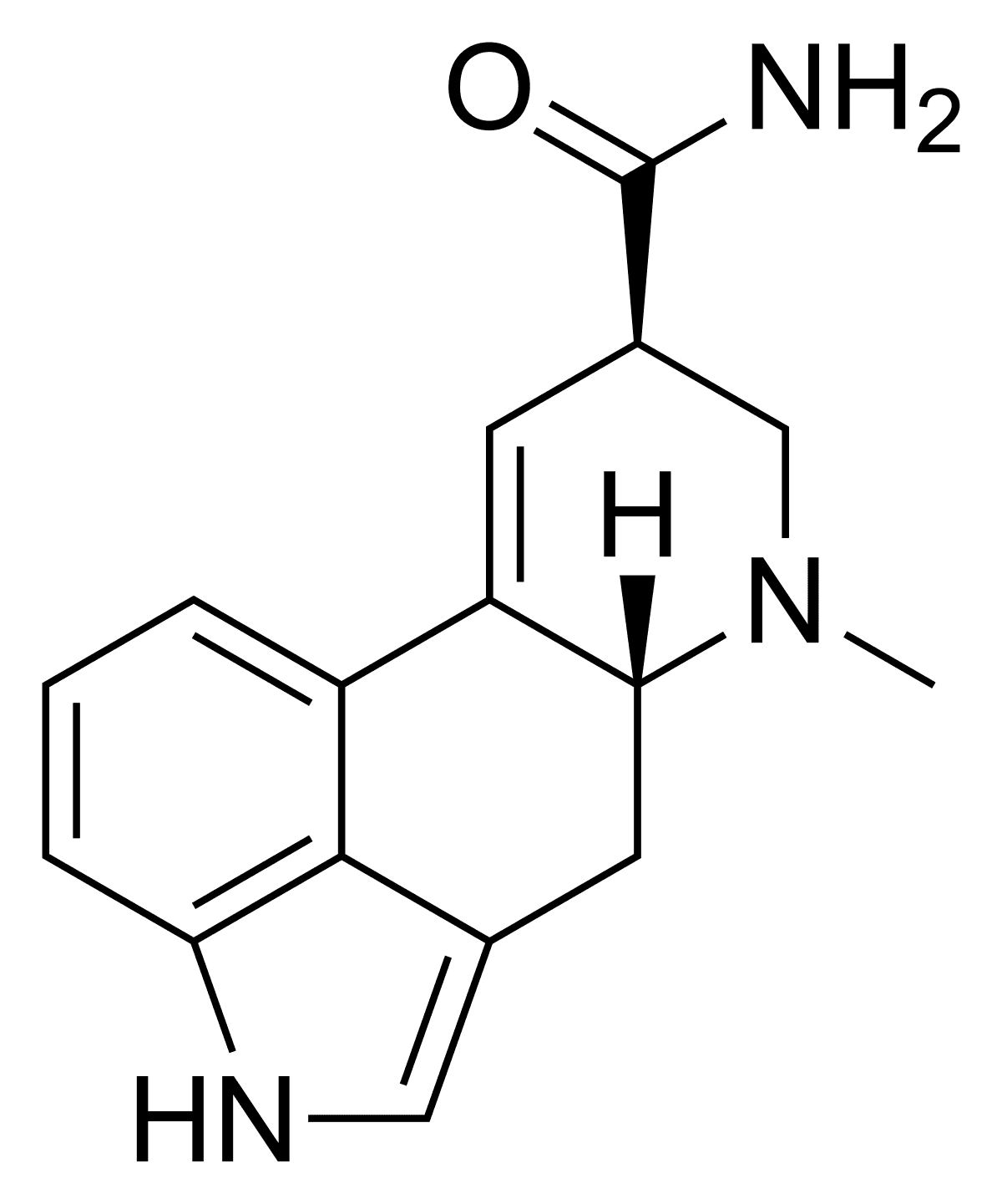 Ergine - Wikipedia