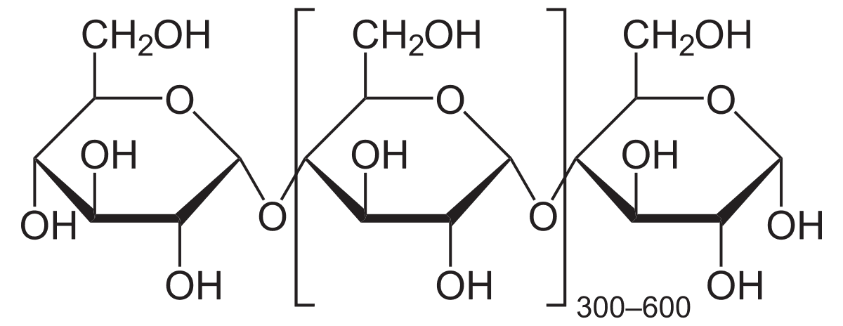 Amylose - Wikipedia