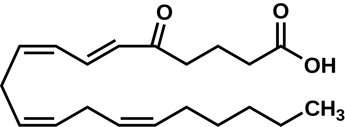 5-Oxo-eicosatetraenoic acid - Wikipedia