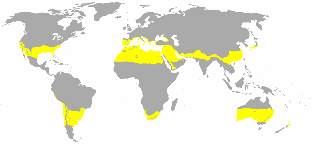 Zone subtropicale — Wikipédia