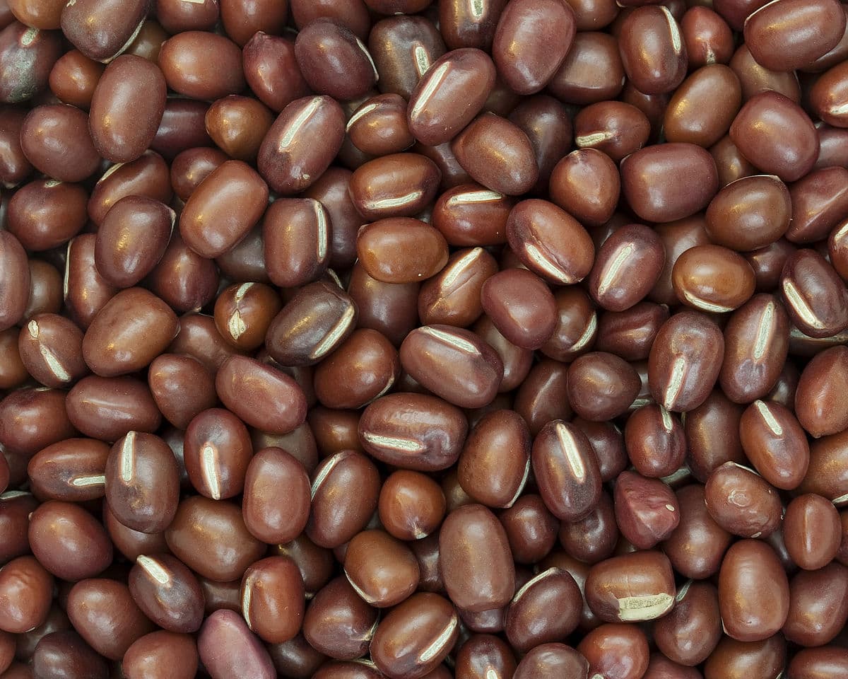 Adzuki bean - Wikipedia