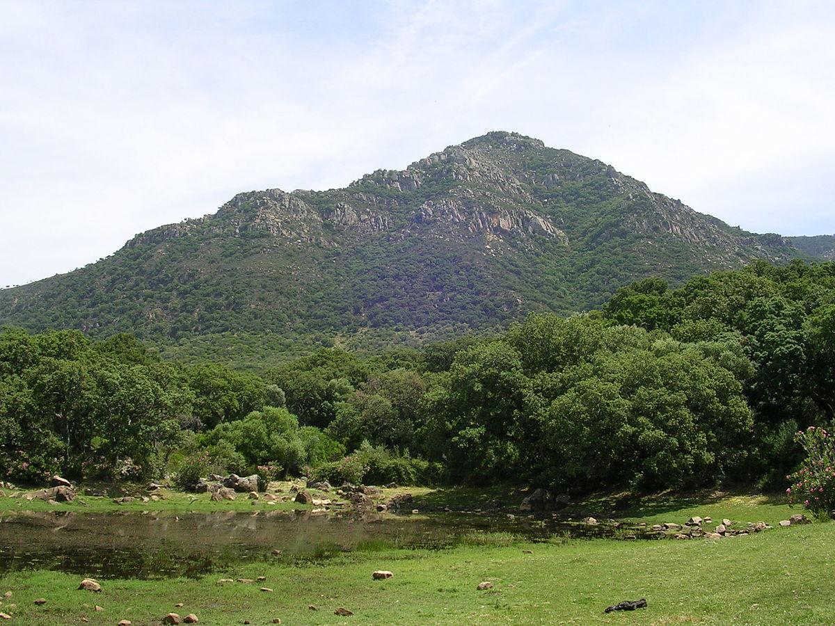 Los Alcornocales Natural Park - Wikipedia