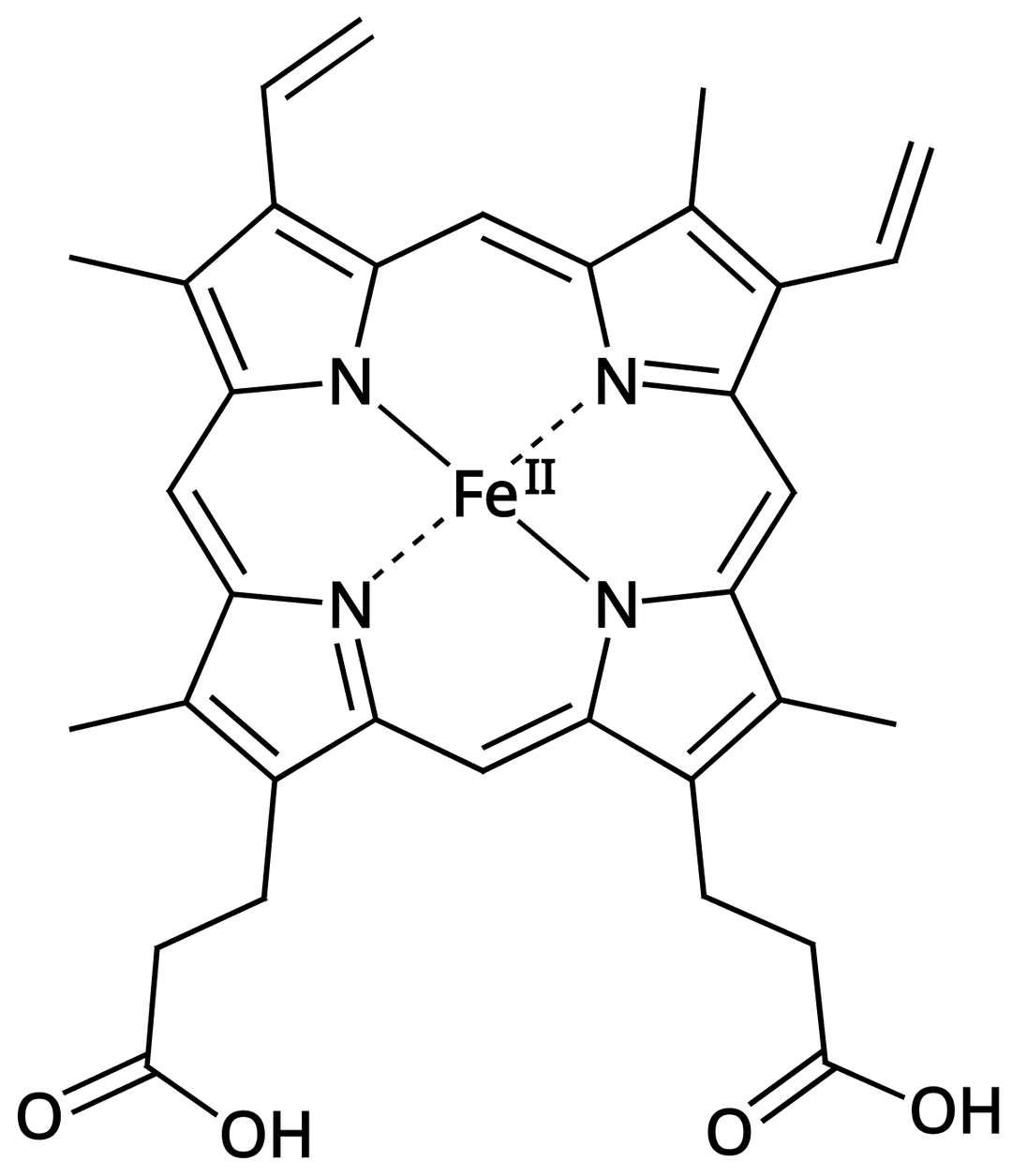 Iron deficiency - Wikipedia