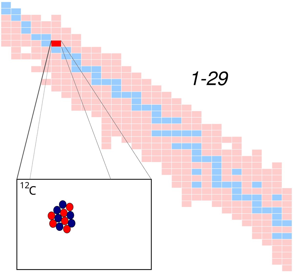 Carbone 12 — Wikipédia