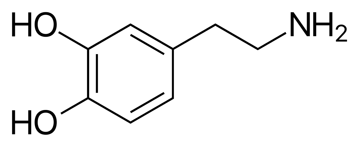 Dopamine agonist - Wikipedia