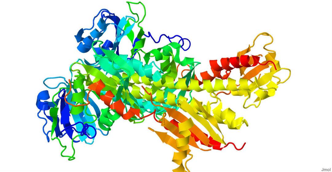 Phytochrome - Wikipedia