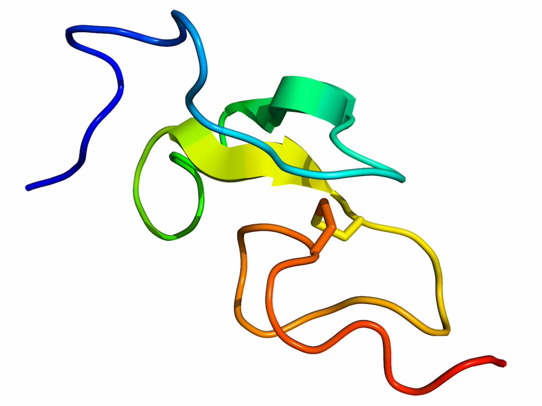 Epidermal growth factor - Wikipedia