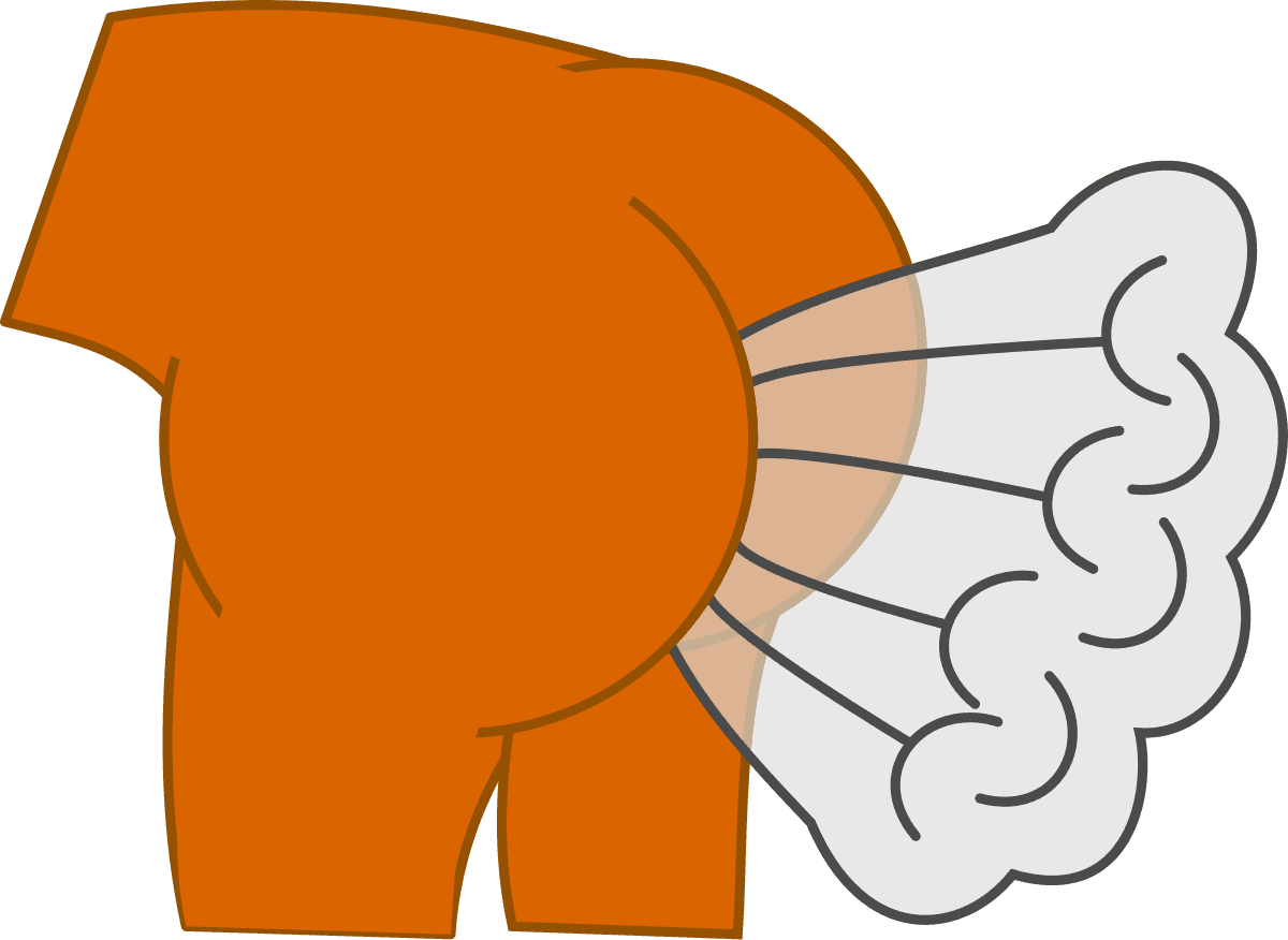Flatulence — Wikipédia