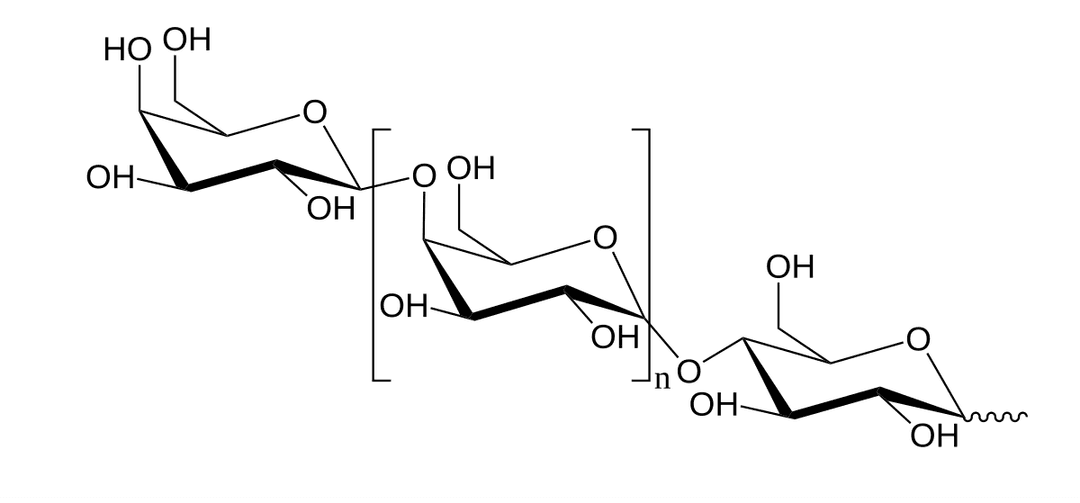 Prébiotique — Wikipédia