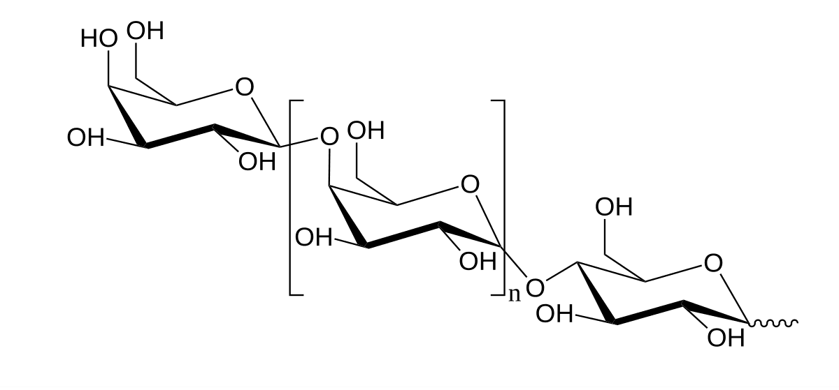 Prébiotique — Wikipédia