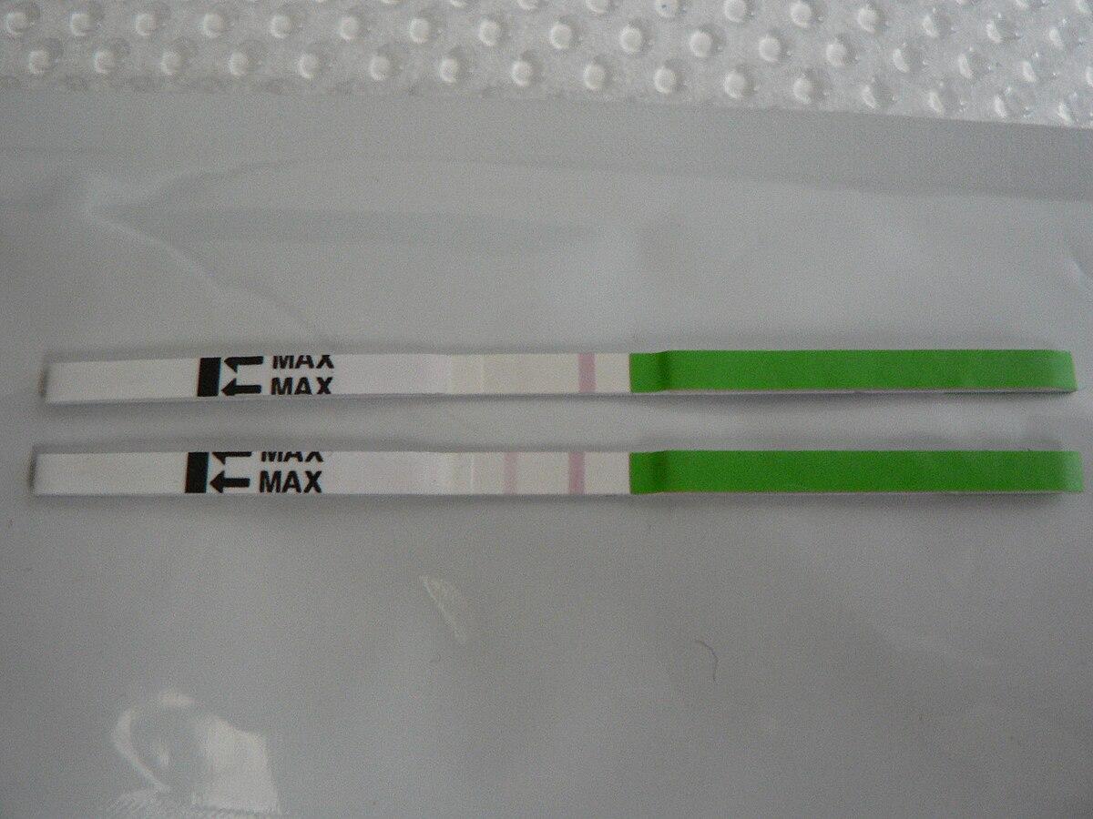 Fertility testing - Wikipedia