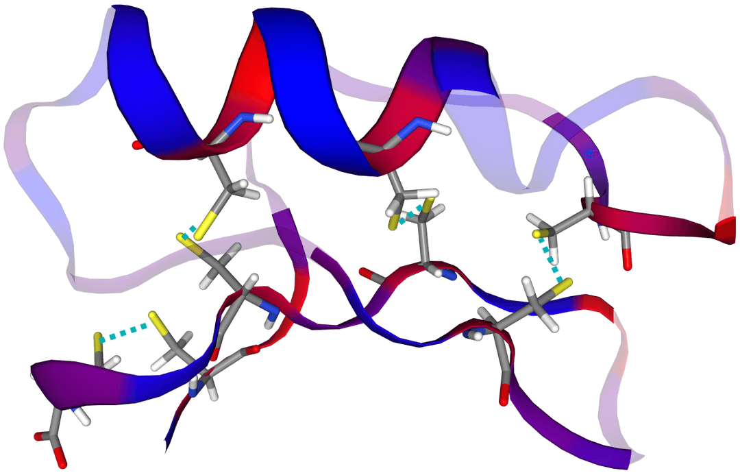 Peptide - Wikipedia