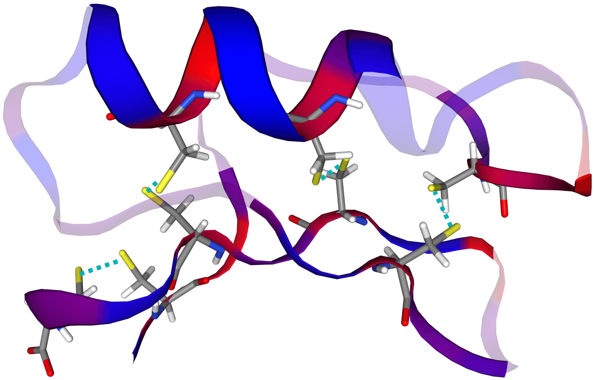 Peptide - Wikipedia