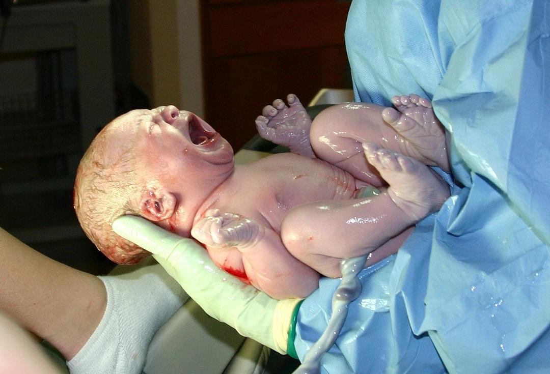 Neonatology - Wikipedia