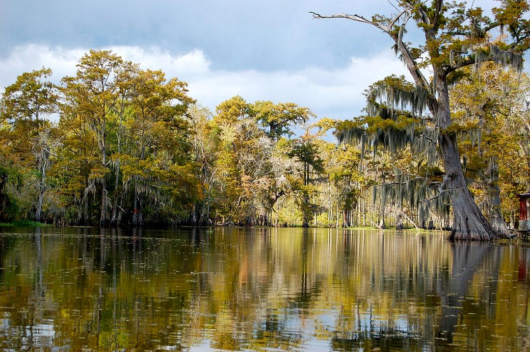 Bayou - Wikipedia