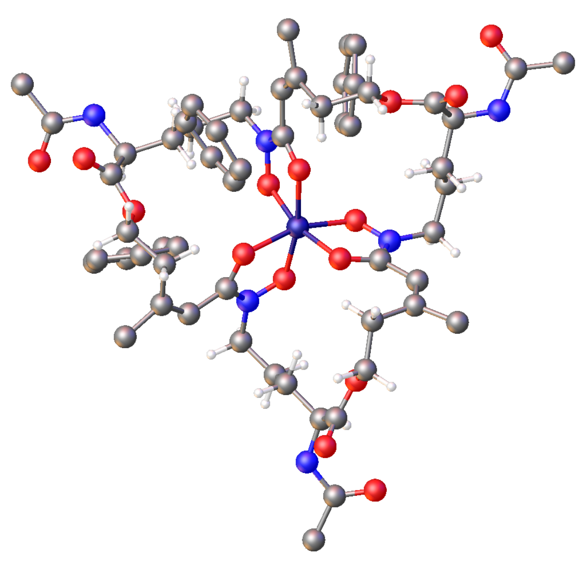 Siderophore - Wikipedia