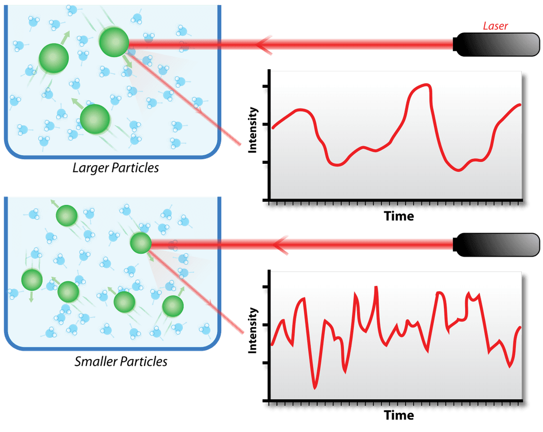 Diffusion dynamique de la lumière — Wikipédia