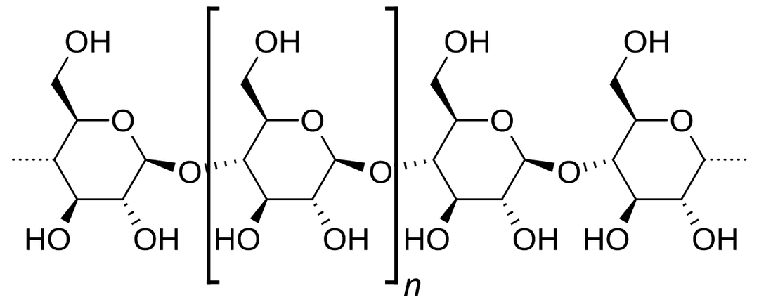 Amylose — Wikipédia