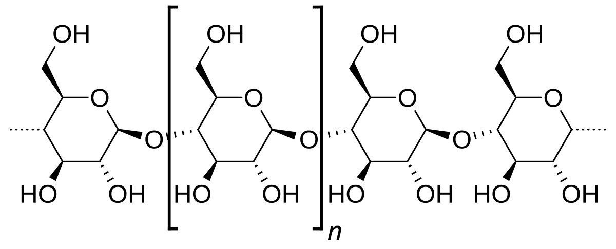 Amylose — Wikipédia