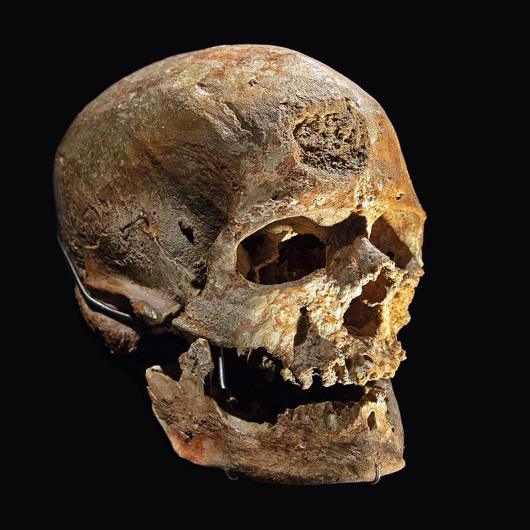 Cro-Magnon - Wikipedia