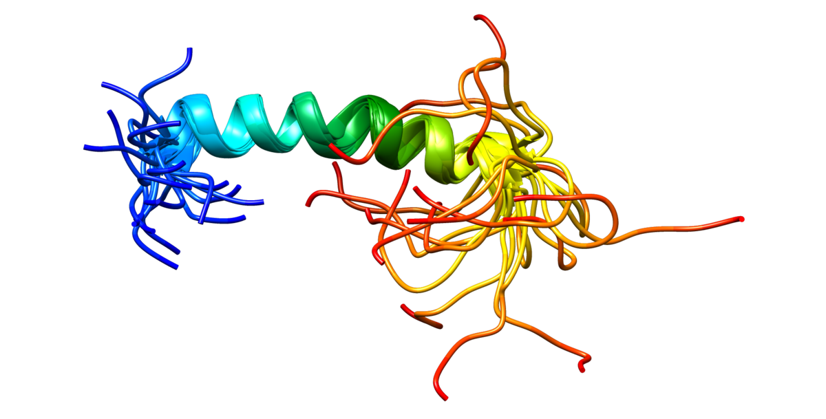 CD31 - Wikipedia