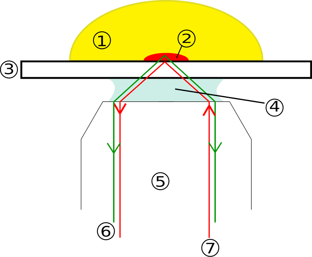 Microscope de fluorescence par réflexion totale interne — Wikipédia