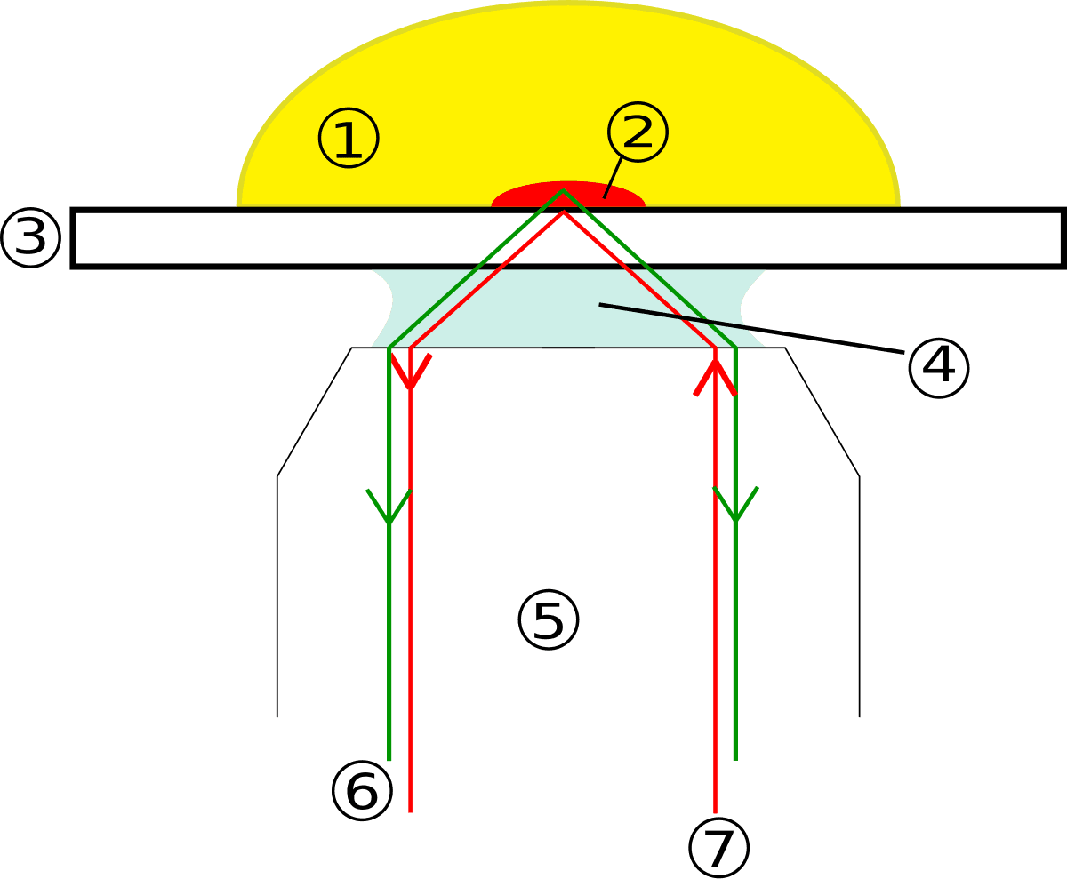 Microscope de fluorescence par réflexion totale interne — Wikipédia