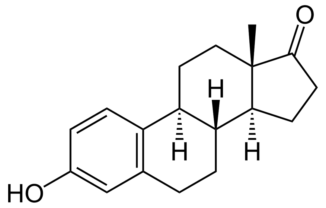 Estrone (medication) - Wikipedia