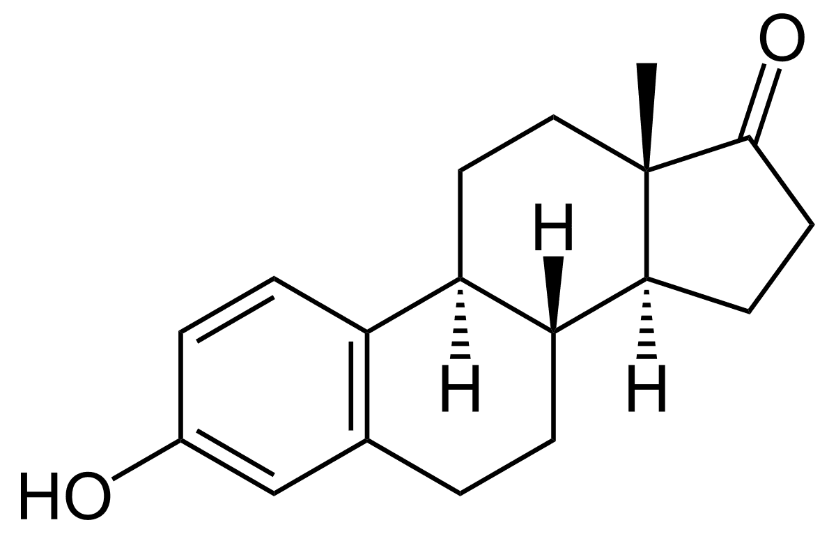 Estrone (medication) - Wikipedia