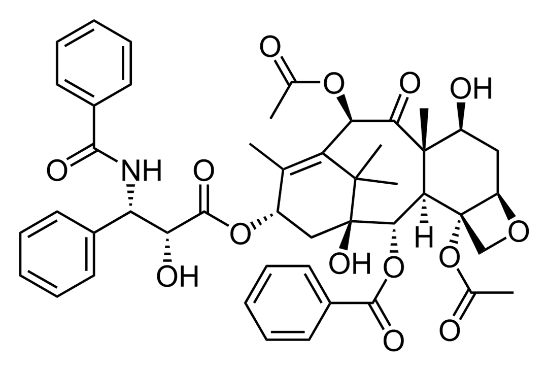 Mitotic inhibitor - Wikipedia