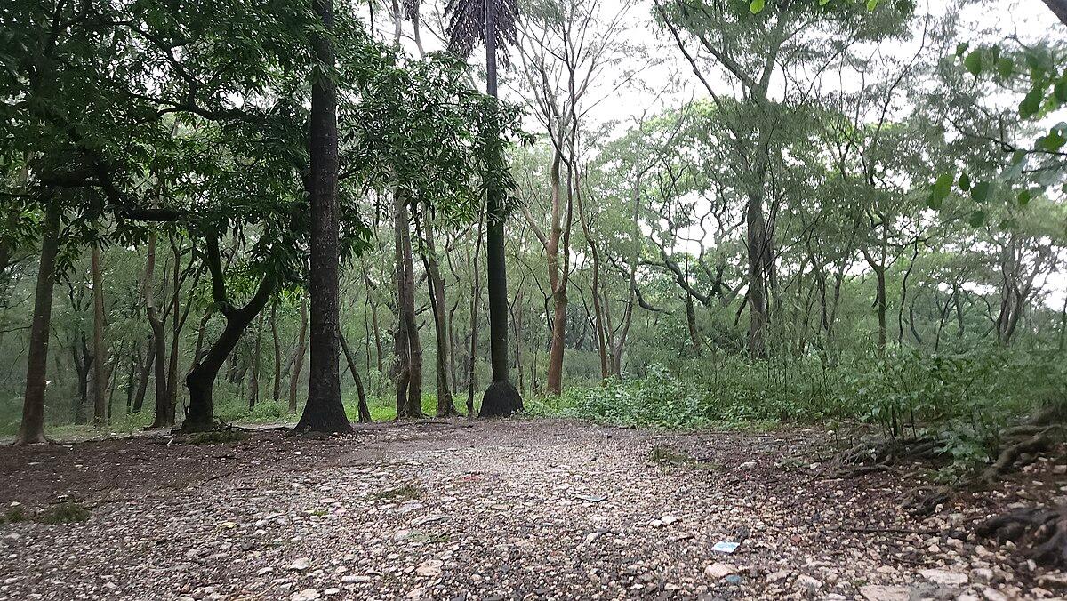 University of the Philippines Arboretum - Wikipedia