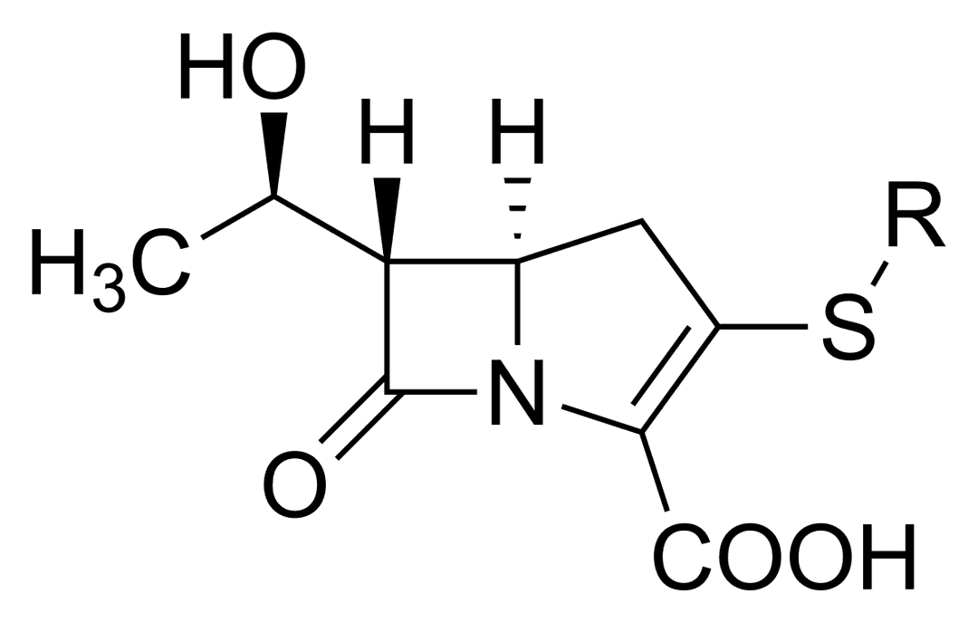 Carbapénème — Wikipédia