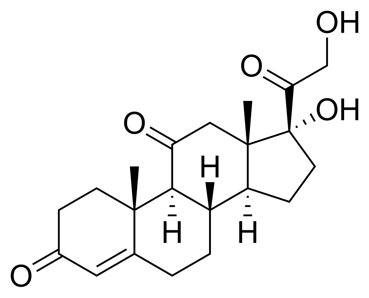 Cortisone - Wikipedia