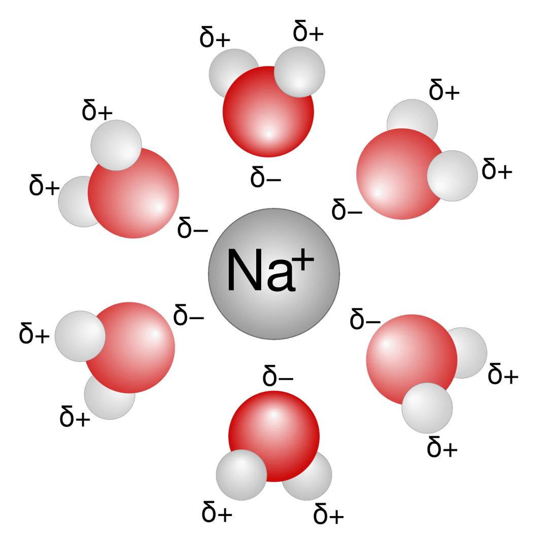 Solvation - Wikipedia