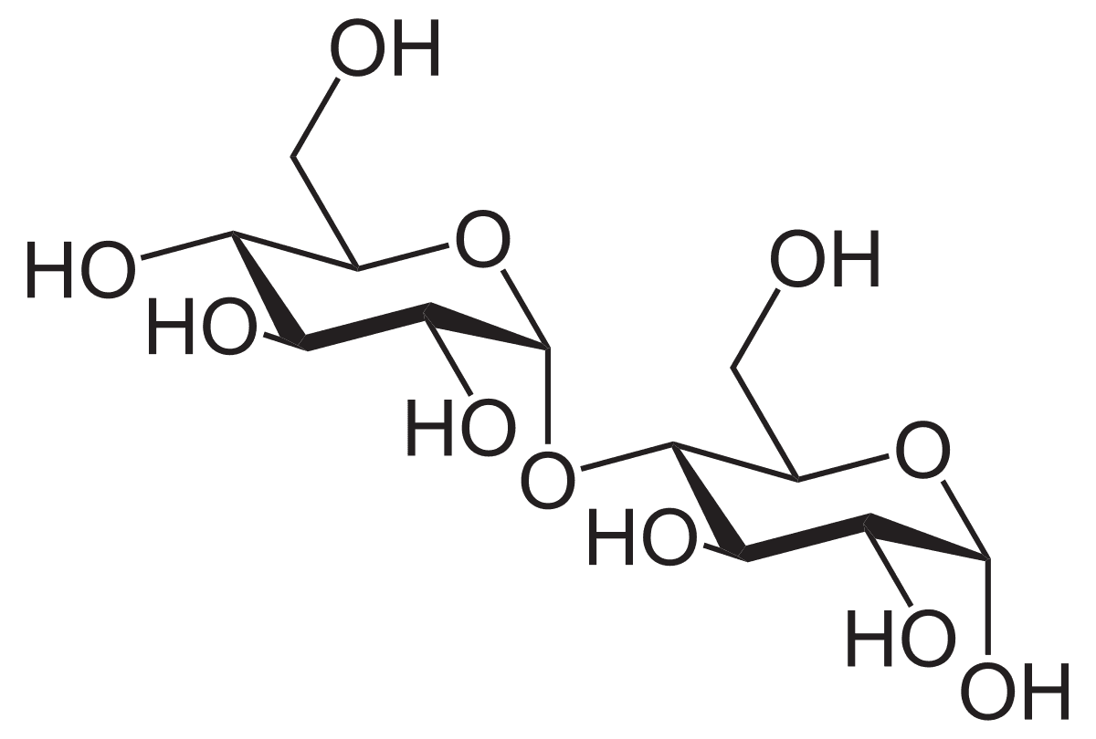 Maltose - Wikipedia