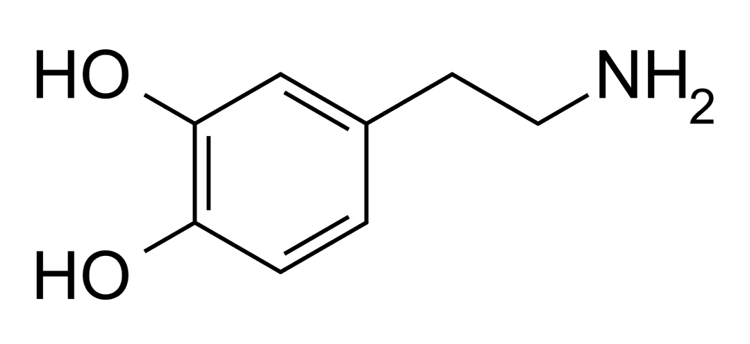 Dopaminergic - Wikipedia