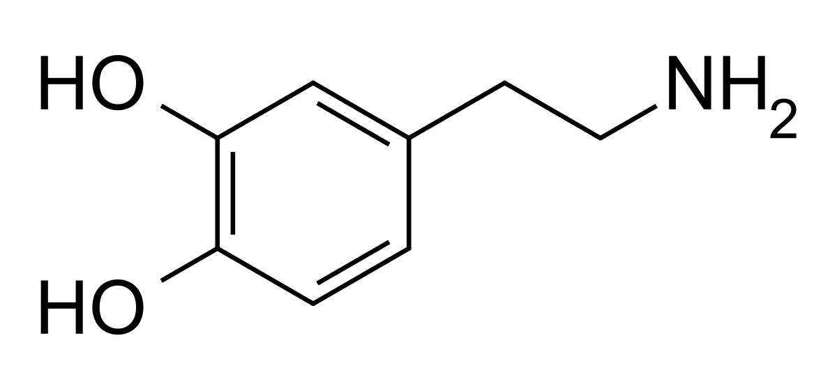 Dopaminergic - Wikipedia