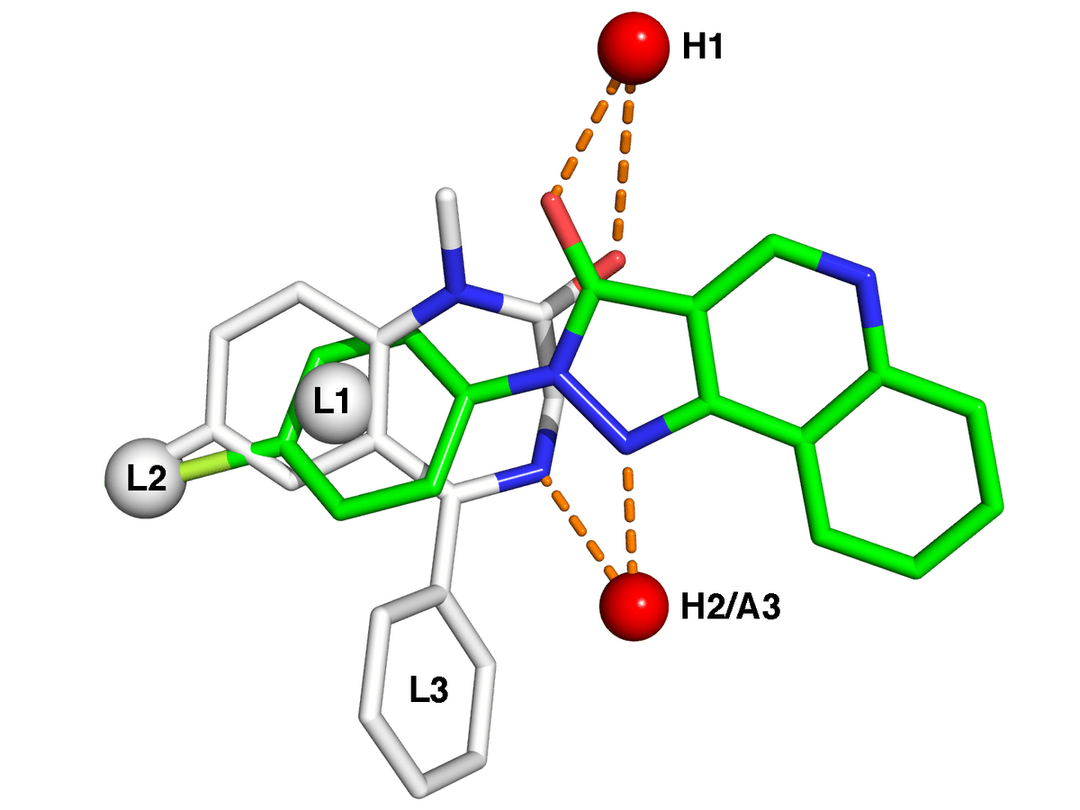 Medicinal chemistry - Wikipedia