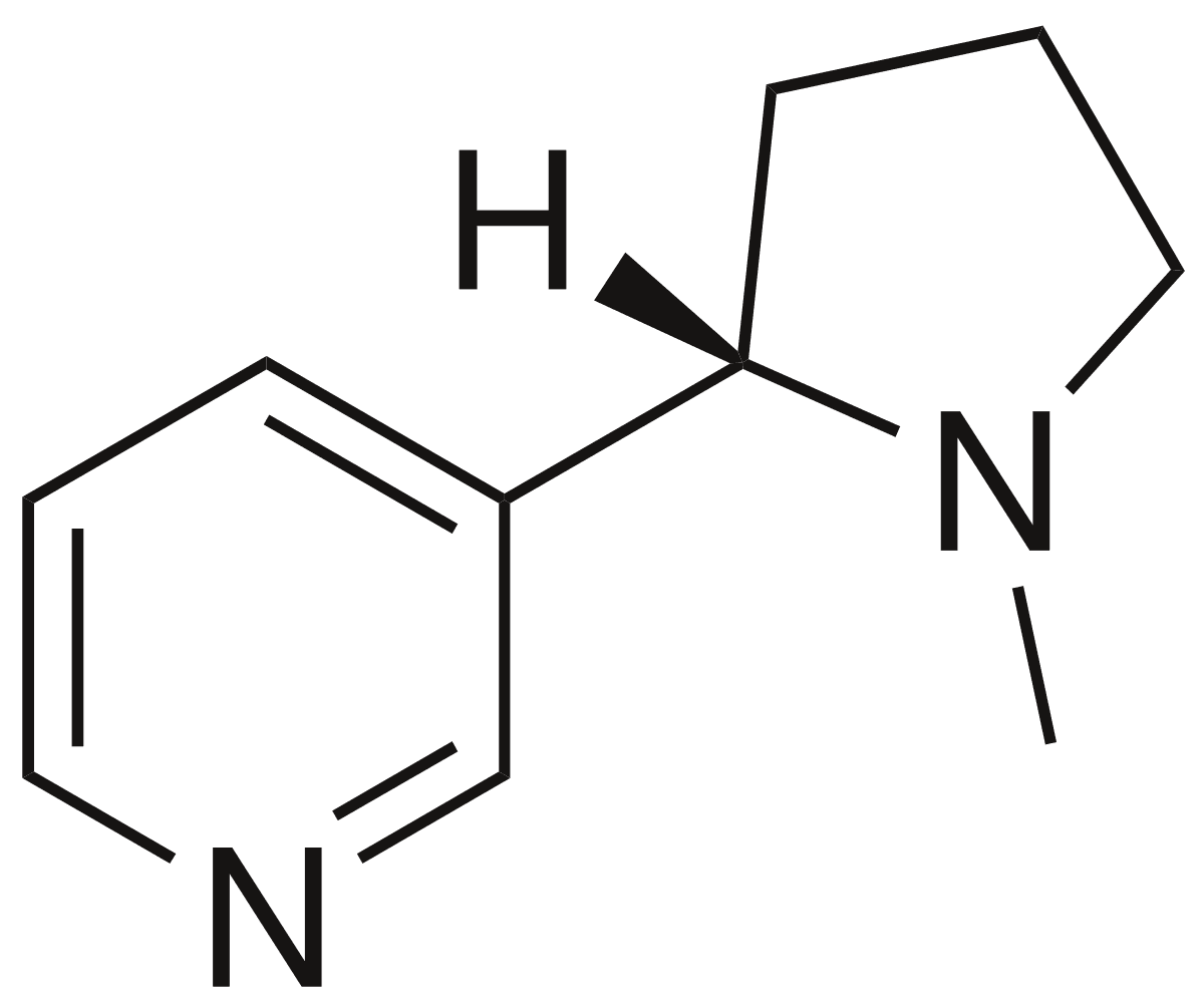 Nicotinic acetylcholine receptor - Wikipedia