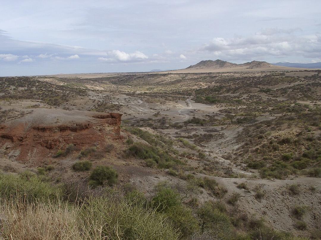 Olduvai Gorge - Wikipedia