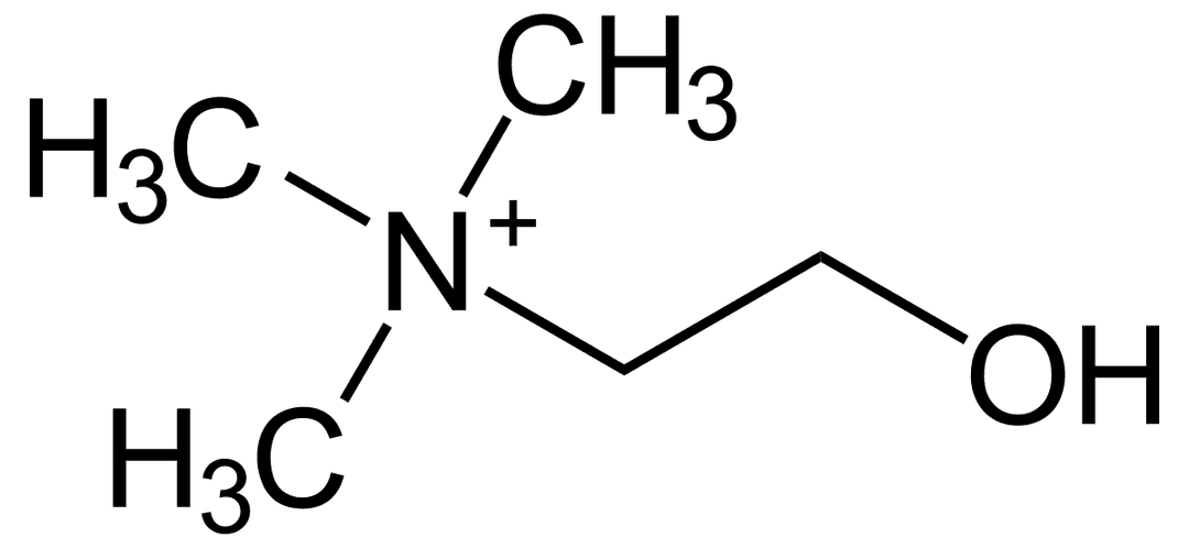 Choline — Wikipédia