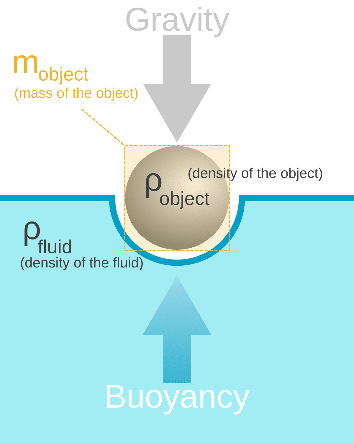 Buoyancy - Wikipedia